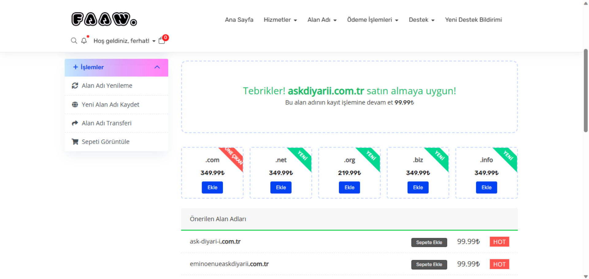 WordPress site kurma: Domain seçme işlemi