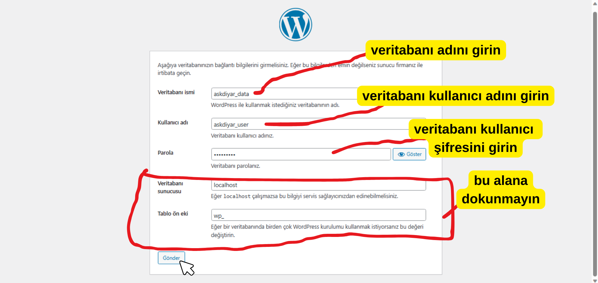 WordPress site kurma: Kurulum sihirbazı site bilgileri