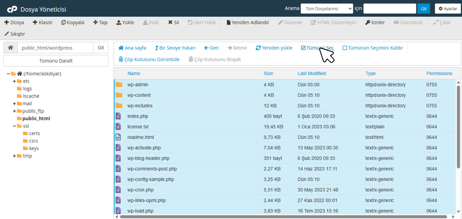 WordPress site kurma: wordpress klasöründe ki dosyaları seçme