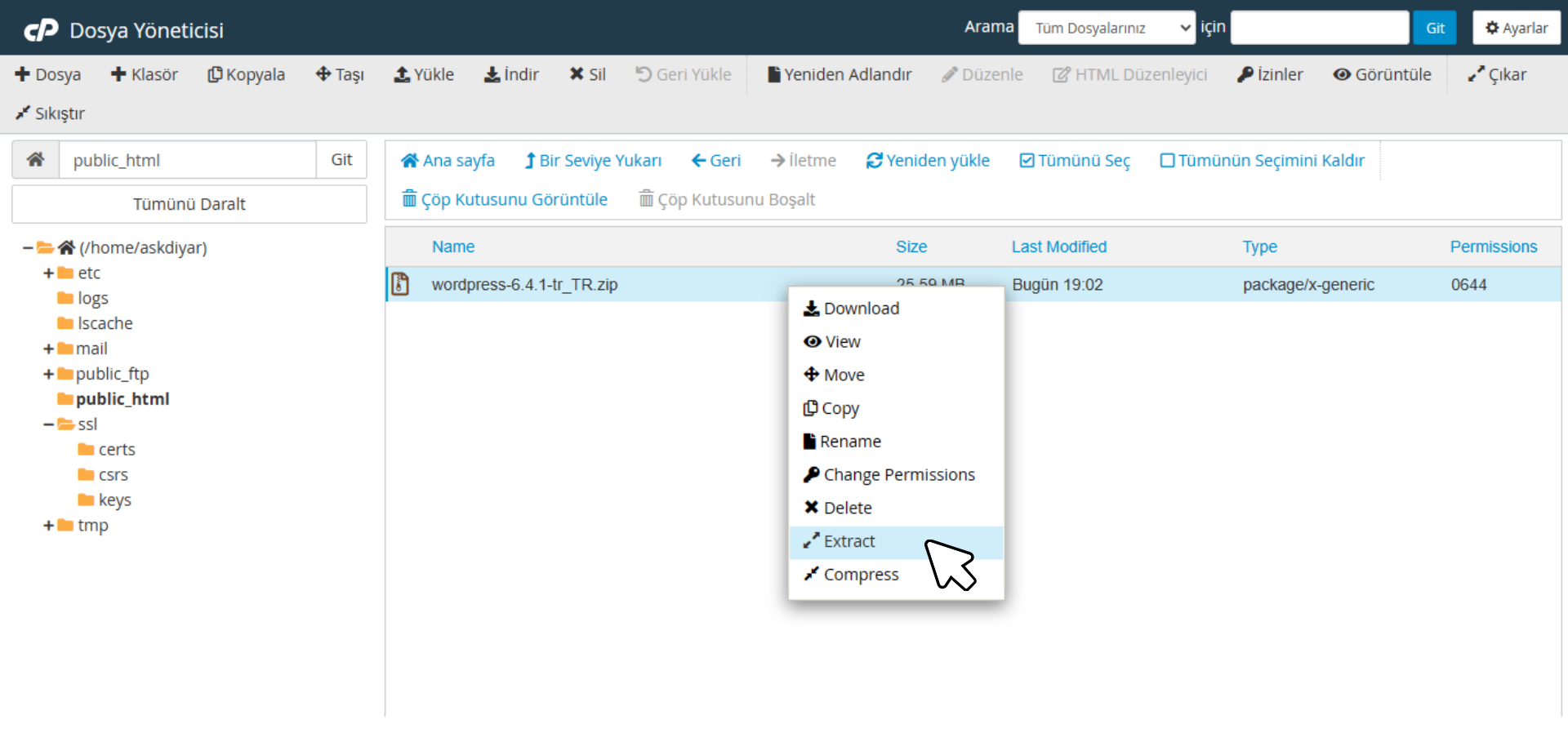 WordPress site kurma: wordpress.zip dosyasını çıkarma