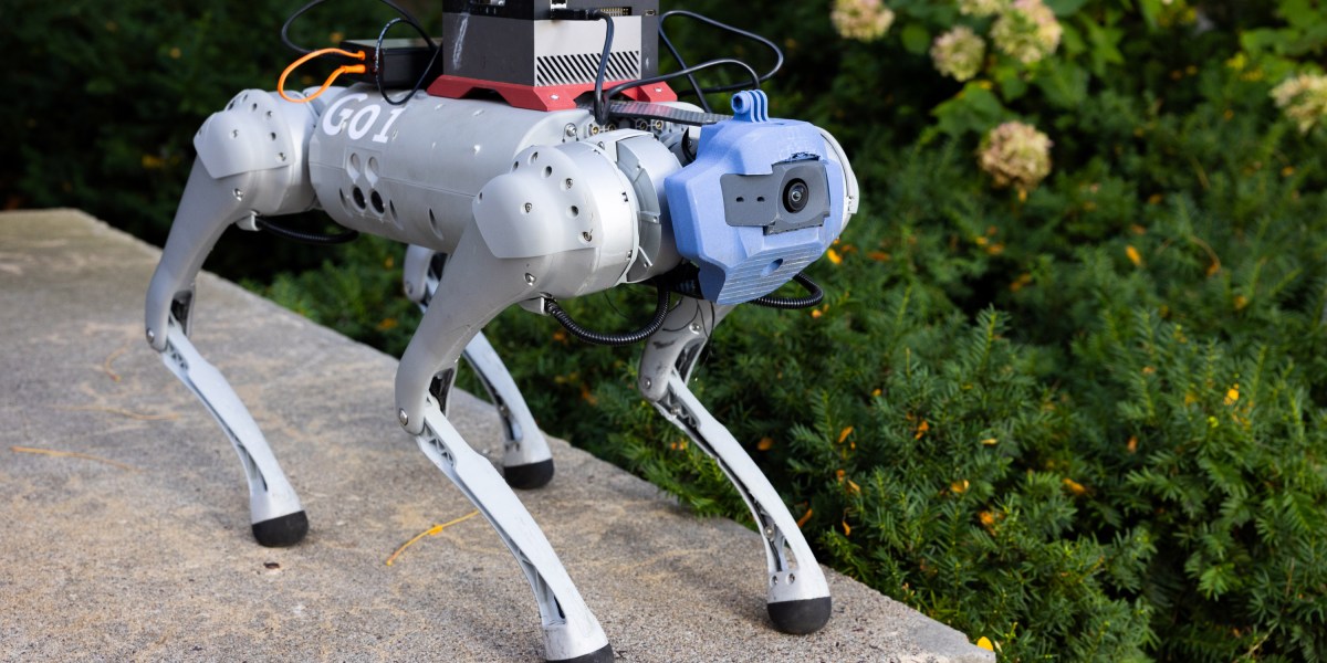 İndir: Robot köpekler için parkur ve Afrika’nın yapay zeka hedefleri