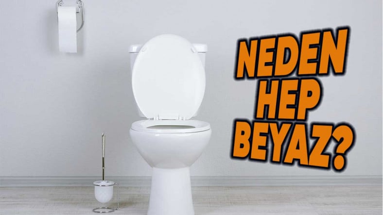 Why Are Toilets Usually White? – Webtekno