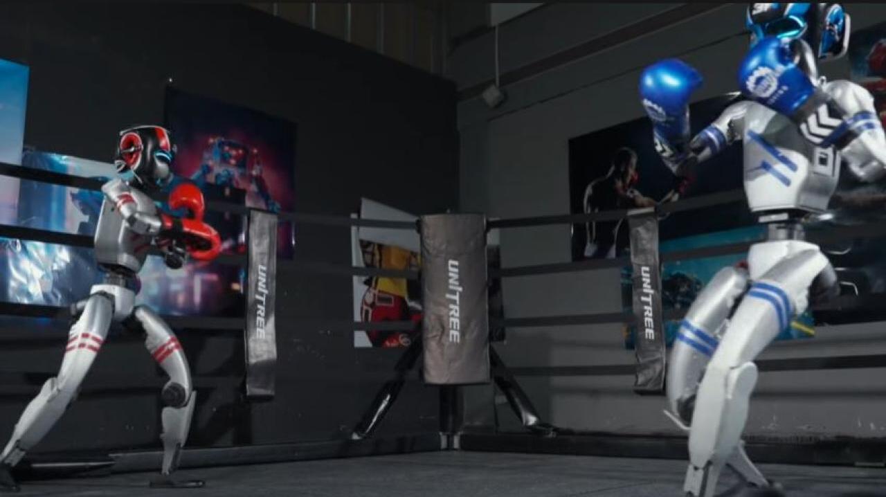 The world’s first intercourse boxing match will be held!